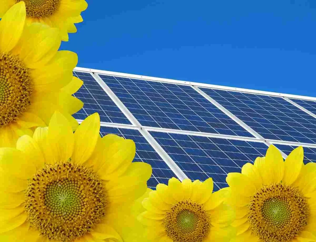 Solar panels with sunflowers showing What Are 5 Advantages of Solar Energy? including clean energy, reduced emissions, and sustainability.
