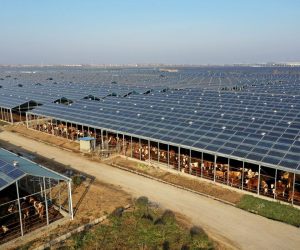 are solar farms profitable large scale solar farm installation in Pakistan.