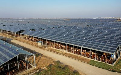 are solar farms profitable large scale solar farm installation in Pakistan.