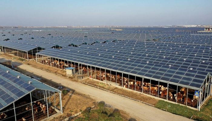 are solar farms profitable large scale solar farm installation in Pakistan.