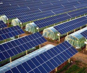 how much does a solar farm cost solar panels field