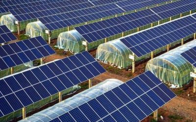 how much does a solar farm cost solar panels field