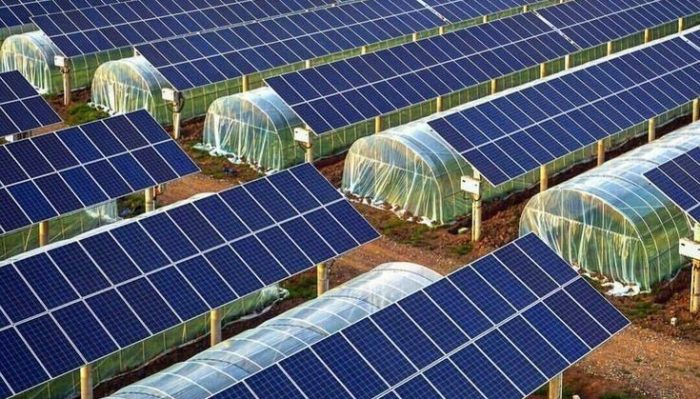 how much does a solar farm cost solar panels field